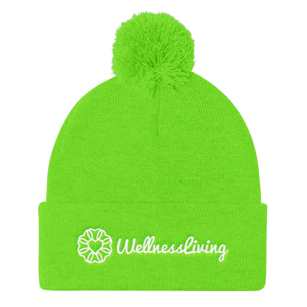 Pom Pom Knit Cap