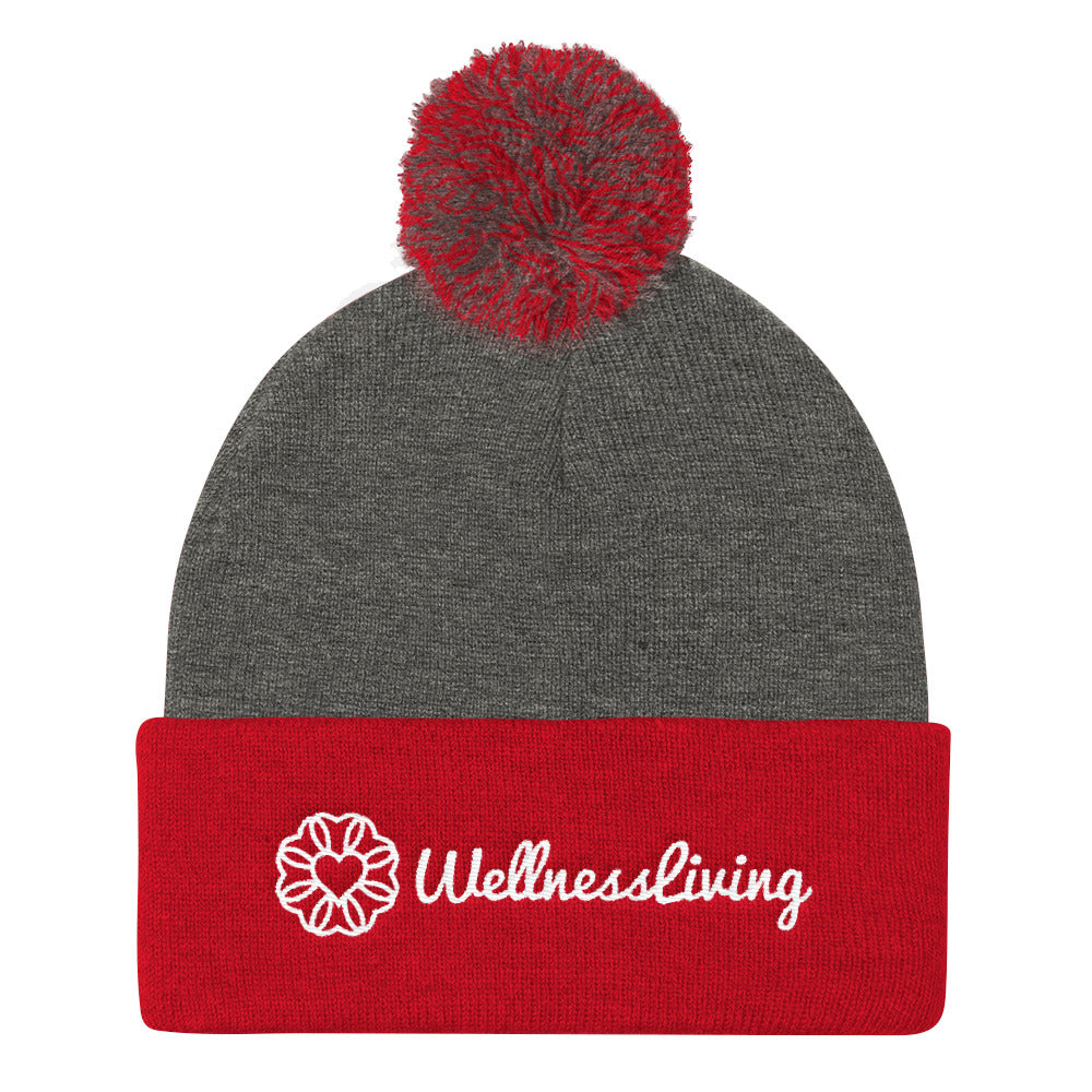 Pom Pom Knit Cap