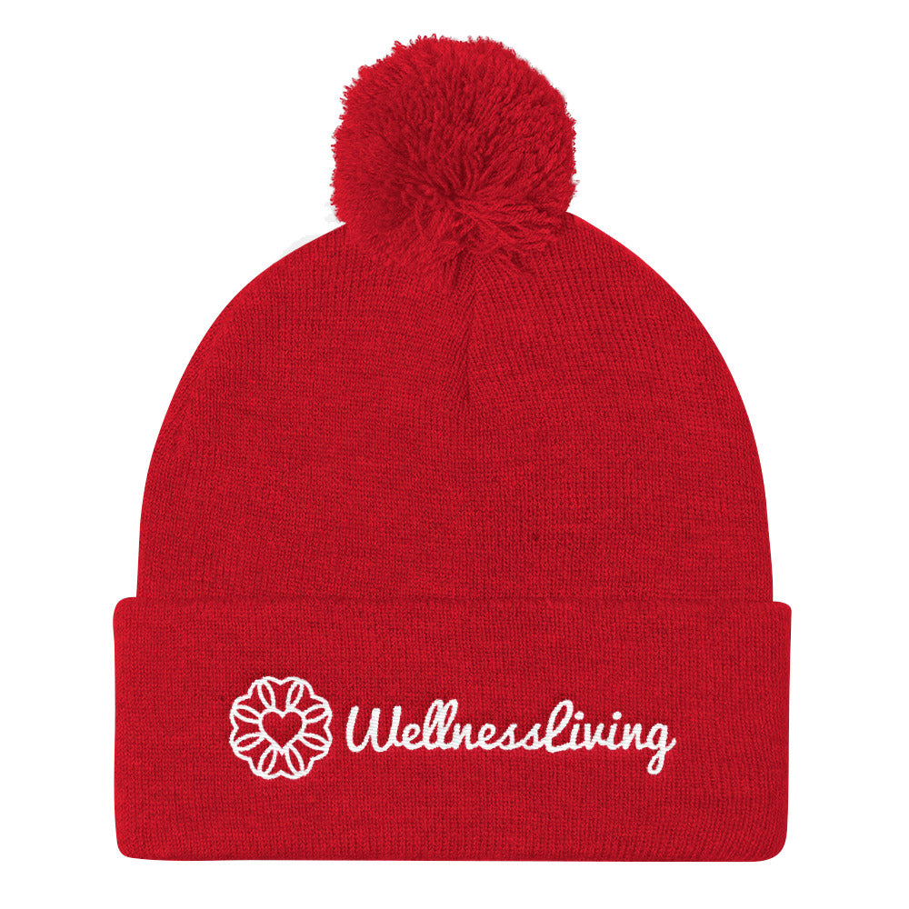 Pom Pom Knit Cap